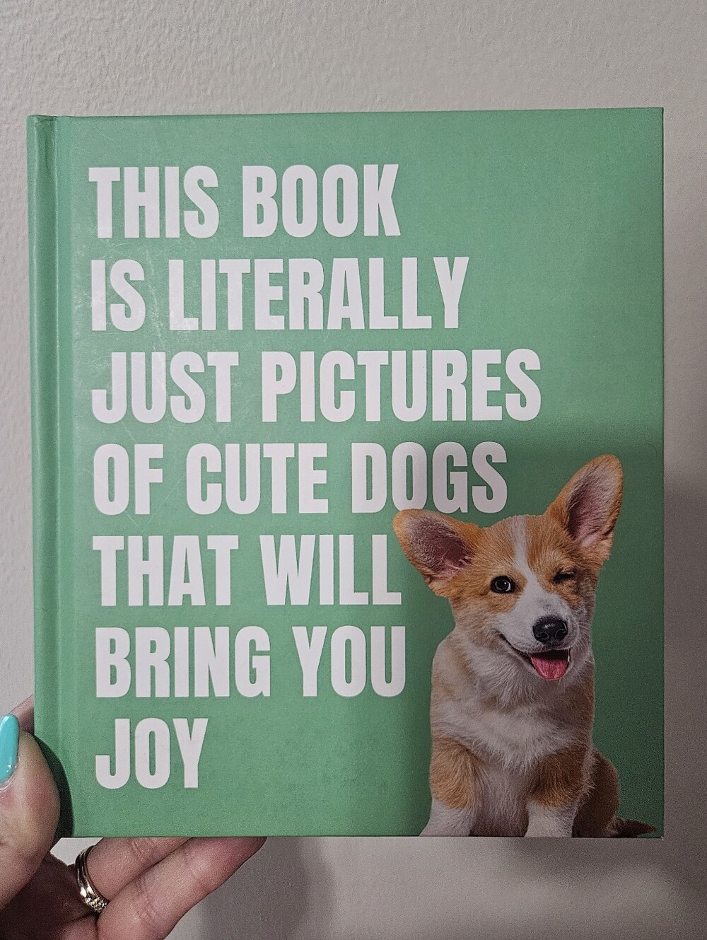 Book Of Cute Dogs Photos - Green Hard Cover